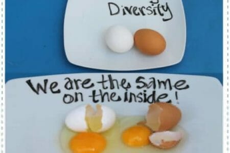 egg activity for diversity - 2houses