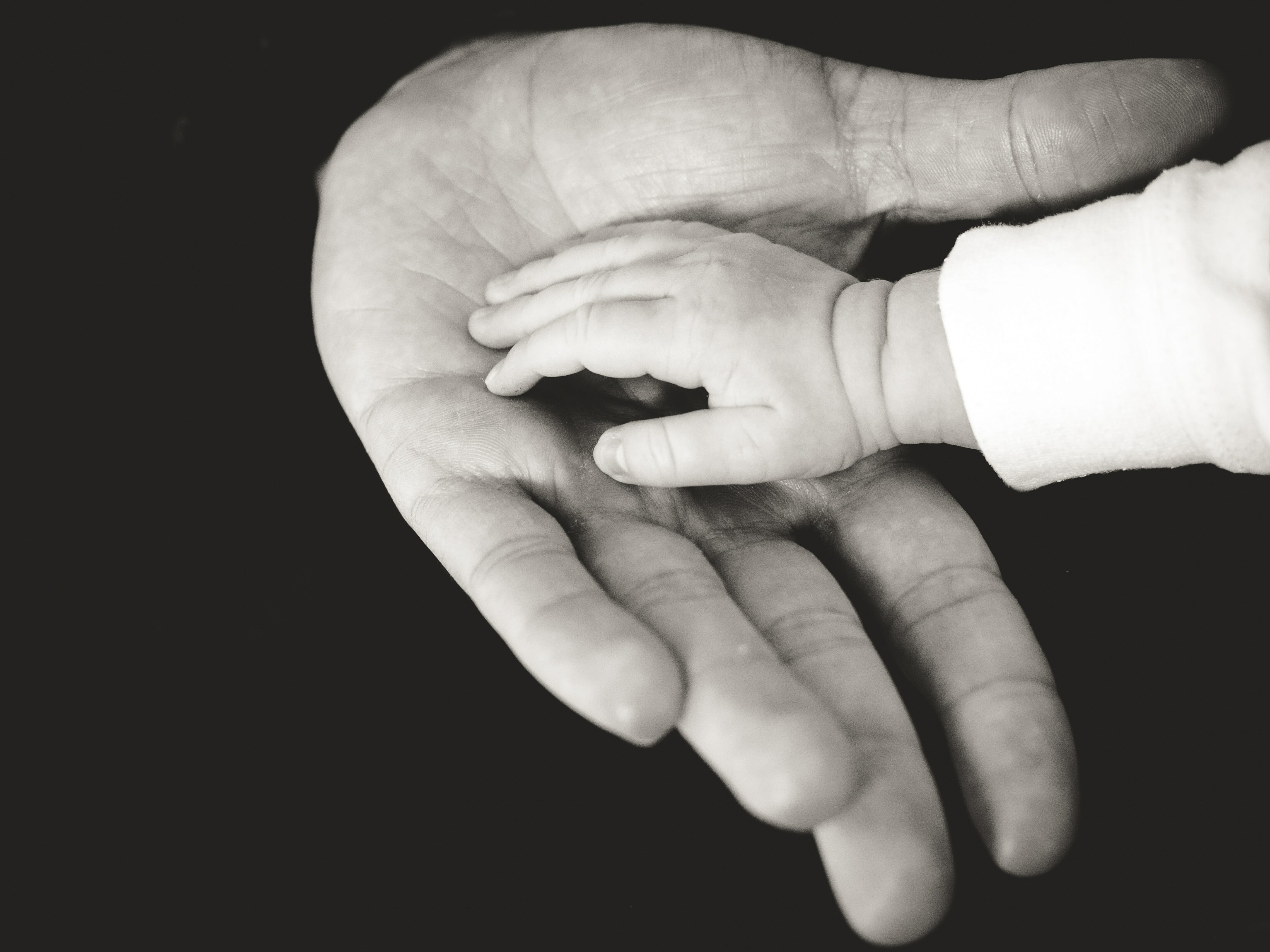 5 Advantages Of A Co Parenting Schedule